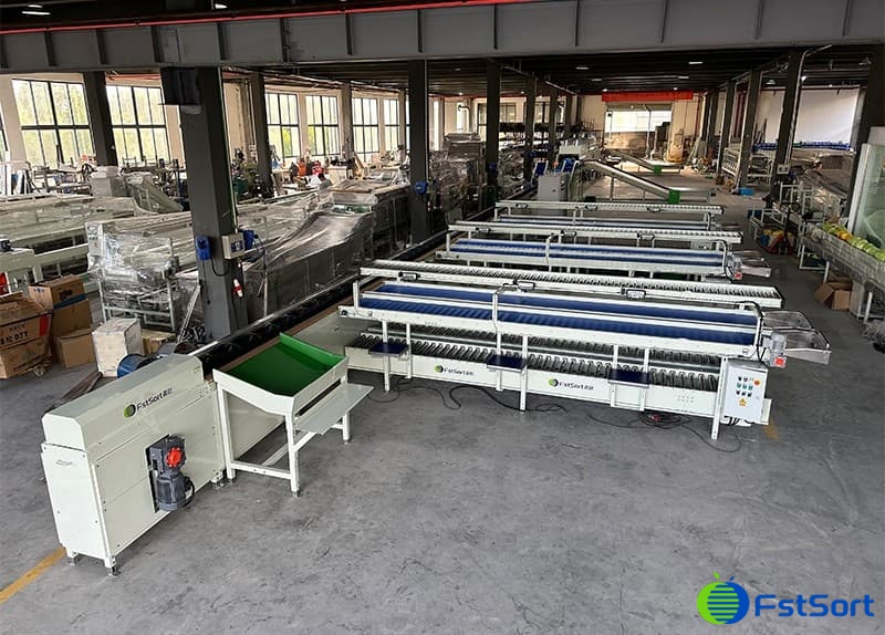 images/1736740482836grapefruit weight sorter.jpg